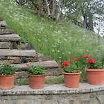 Landhuis Country Hill Arezzo