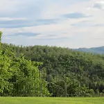 Country Hill