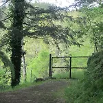 Country Hill * Arezzo