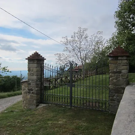 Country Hill * Arezzo