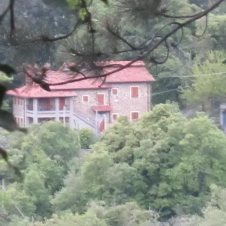 בית כפרי Country Hill *