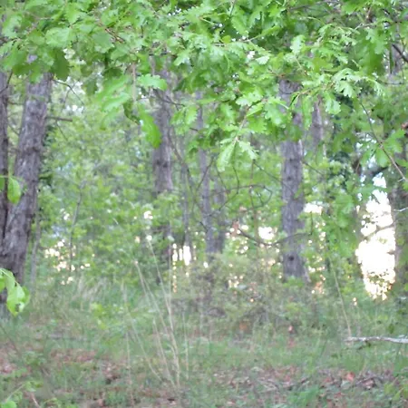 Country Hill