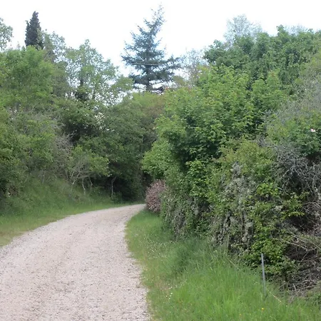 בית כפרי Country Hill
