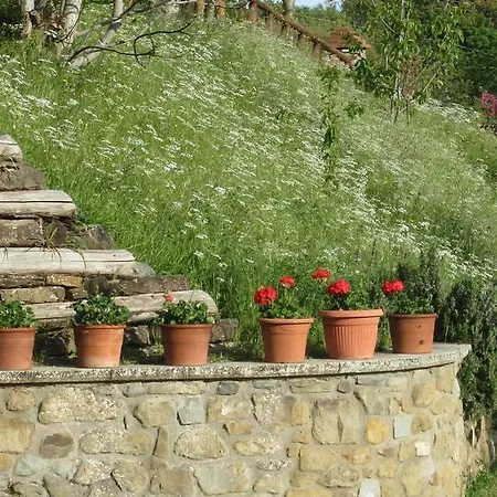 Country Hill Country house