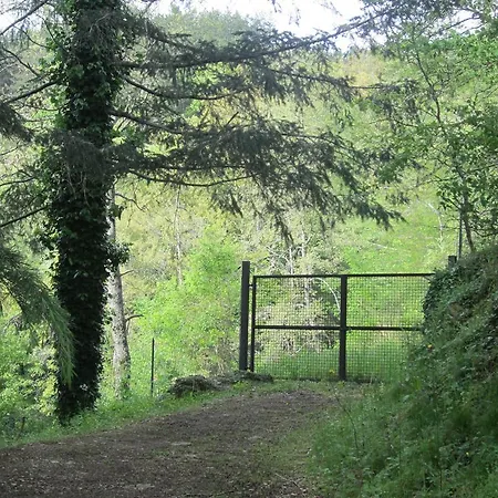 Country Hill * Arezzo