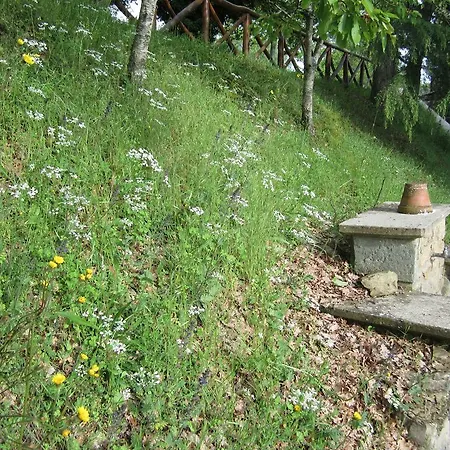Country Hill Country house Arezzo