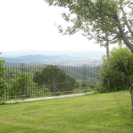 Country Hill Arezzo