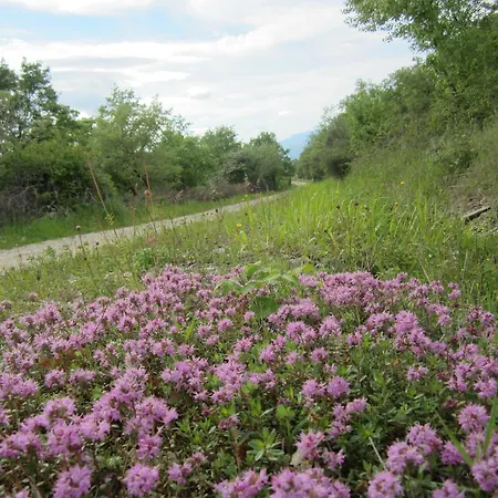 בית כפרי Country Hill *