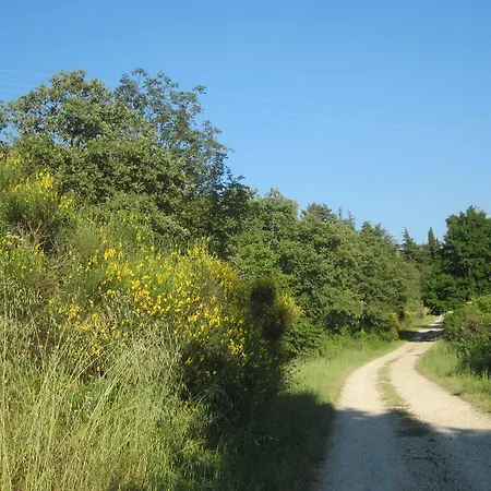 Country Hill בית כפרי *