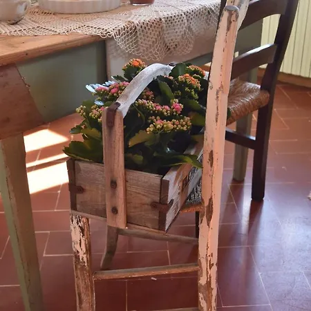 Country house Country Hill Arezzo